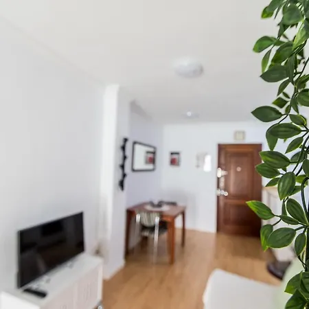 Loft Del Pintor Apartment *